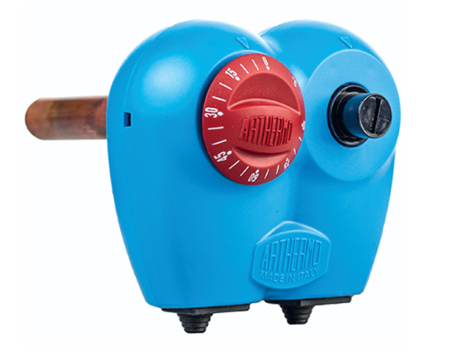 Dual immersion thermostat